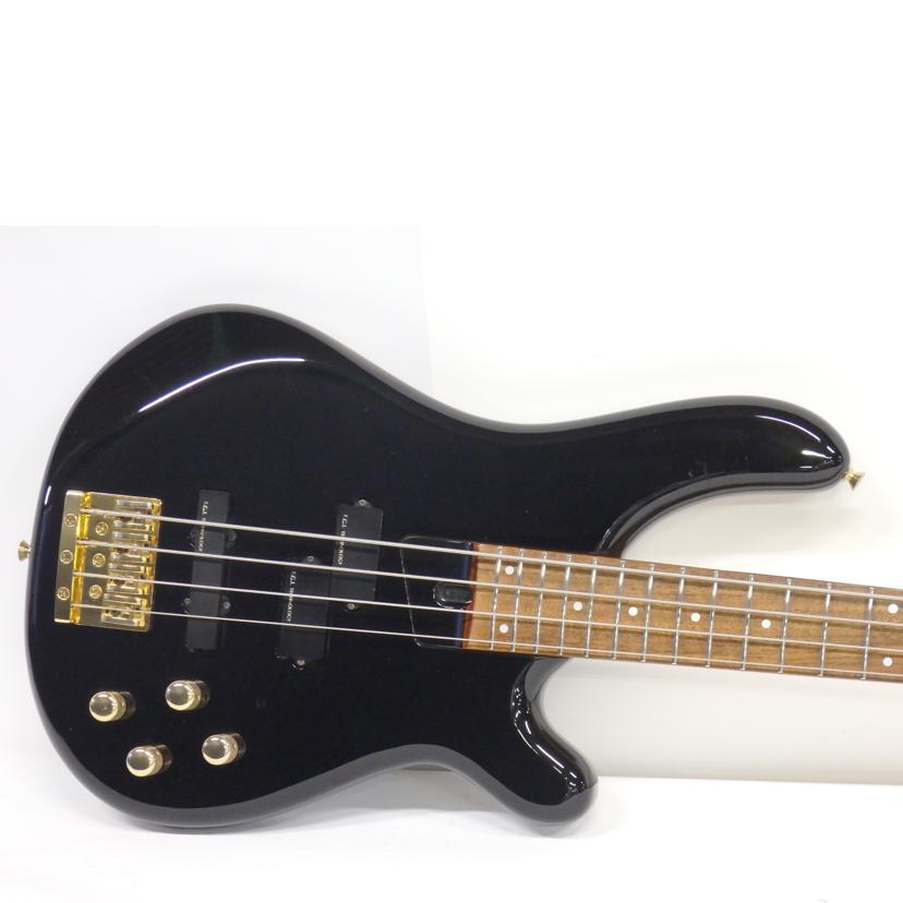 FERNANDES フェルナンデス/楽器、エレキベース｜REXT ONLINE