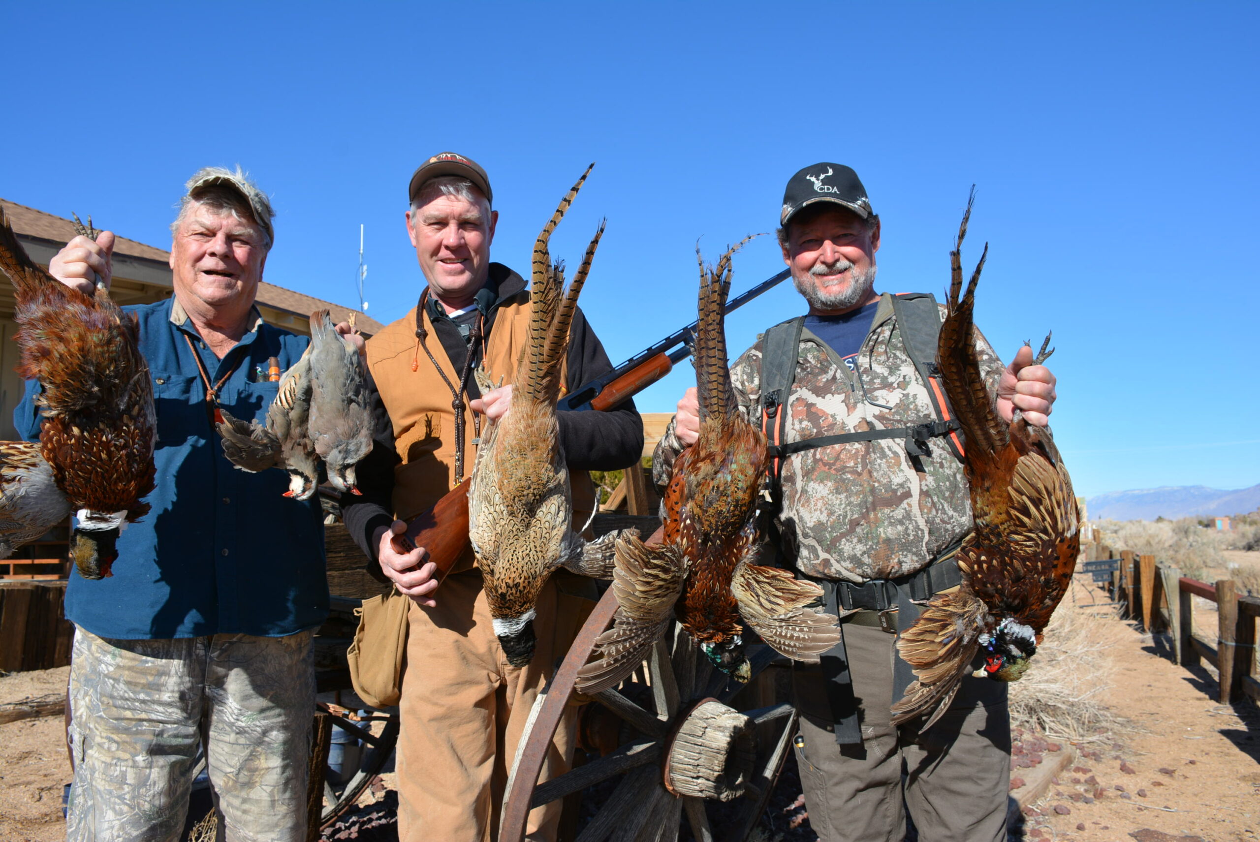 Hunting – Upland game birds flush strong at Lone Pine Pheasant