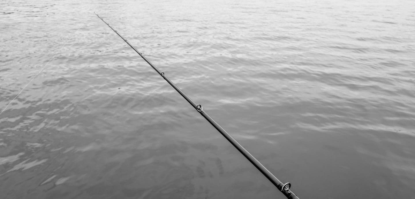 WOLF DOWN｜BASS FISHING CUSTOM RODS