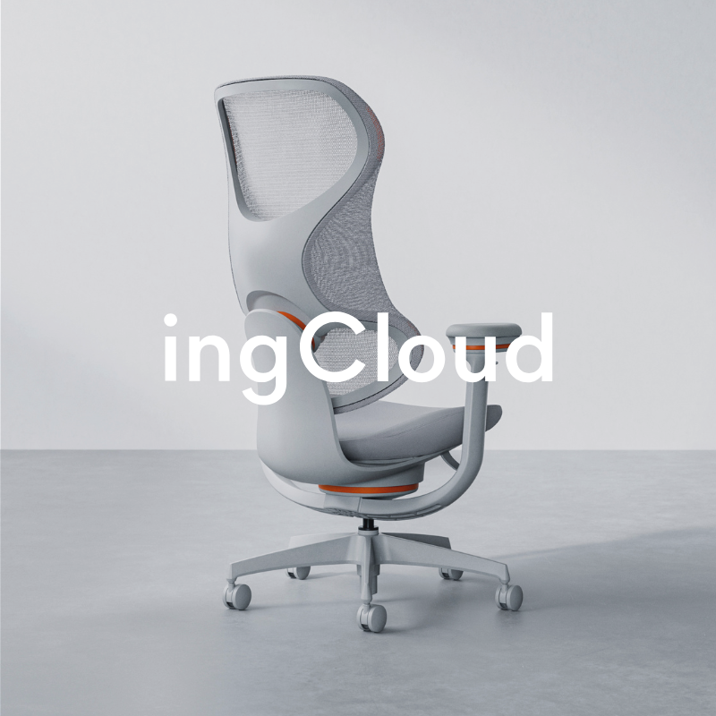 pic_ingcloud.png