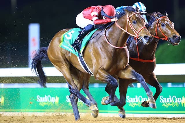 ロマンチックウォリアー（Romantic Warrior） | 競馬データベース