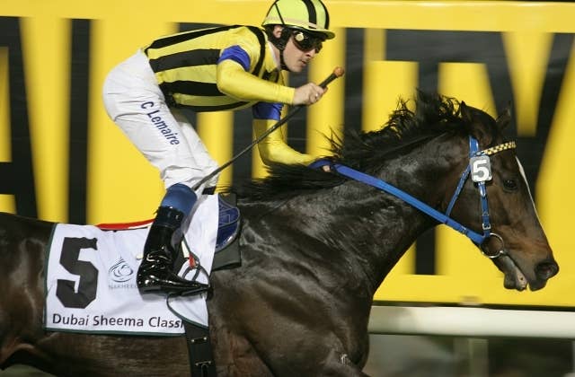 ハーツクライ（Heart's Cry） | 競馬データベース | JRA-VAN World