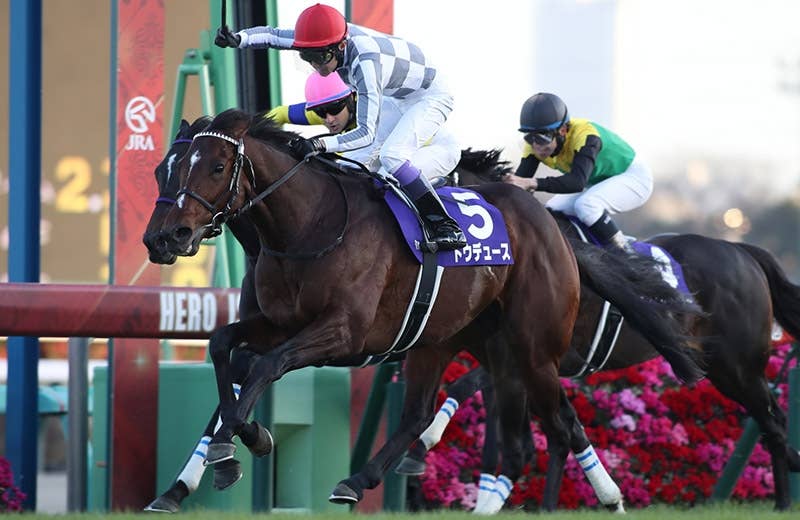 ドウデュース（Do Deuce） | 競馬データベース | JRA-VAN World - 海外