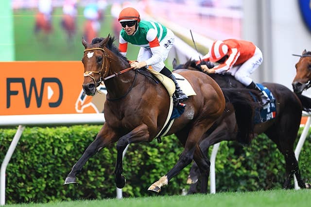 2025クイーンエリザベス2世カップ | JRA-VAN World - 海外競馬情報サイト