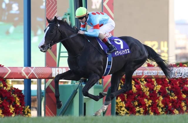 ドバイシーマクラシック（G1） 2023/3/25(土) | 日程・結果 | JRA-VAN