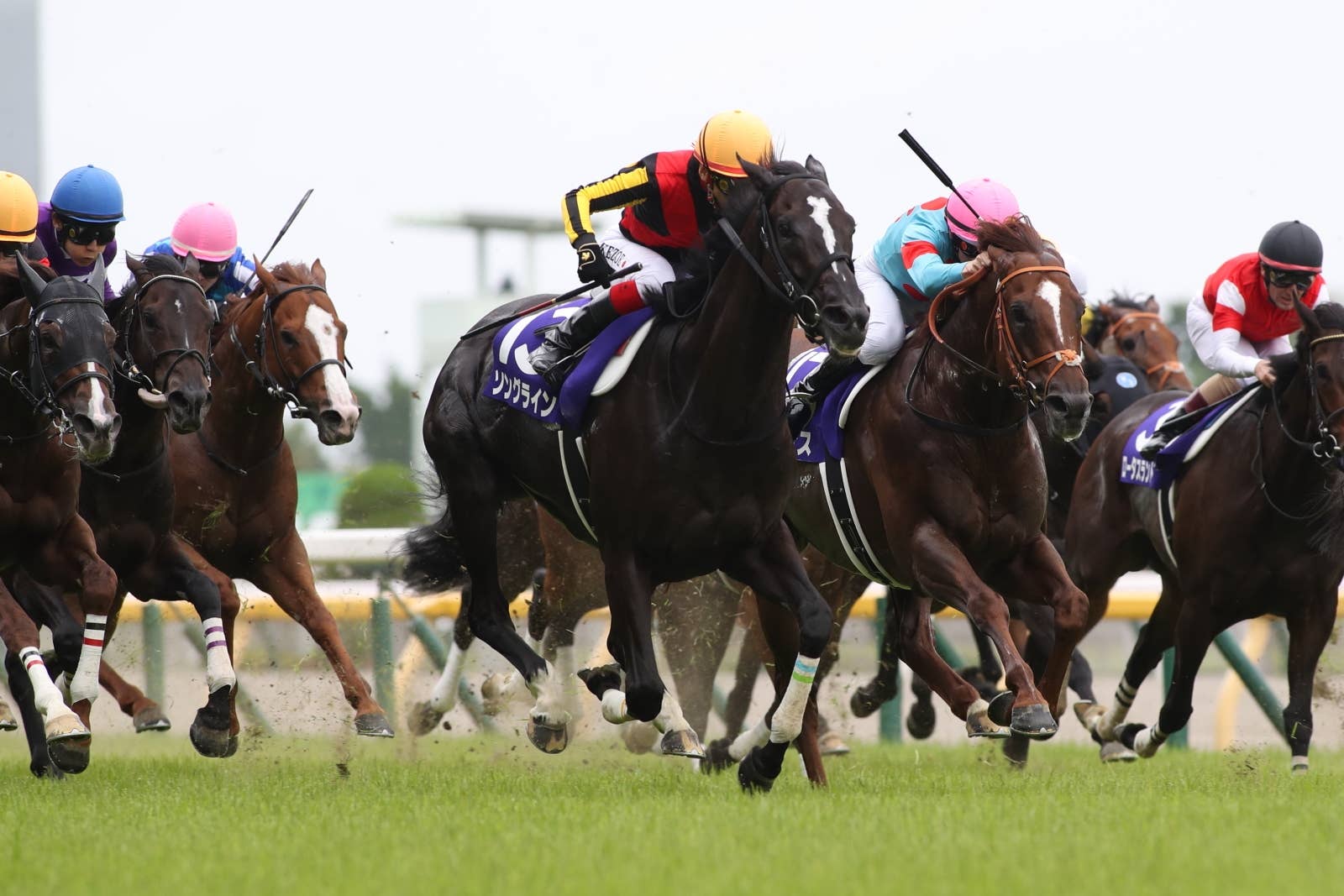 ソングライン（Songline） | 競馬データベース | JRA-VAN World - 海外