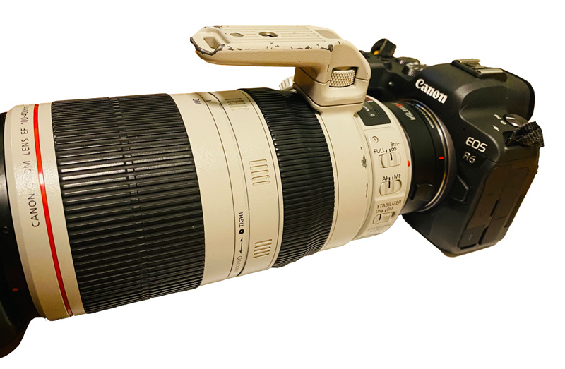 もう待てない！ EF-EOS Rの代わりにVILTROXのアダプターを購入、EOS R6