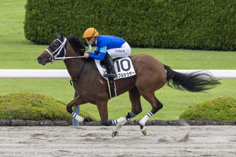 9/14(日)阪神1R 2歳未勝利 | 直近の的中実績 | 最強の関西馬専門の競馬