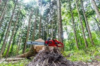 プロ向けチェンソー | ゼノア