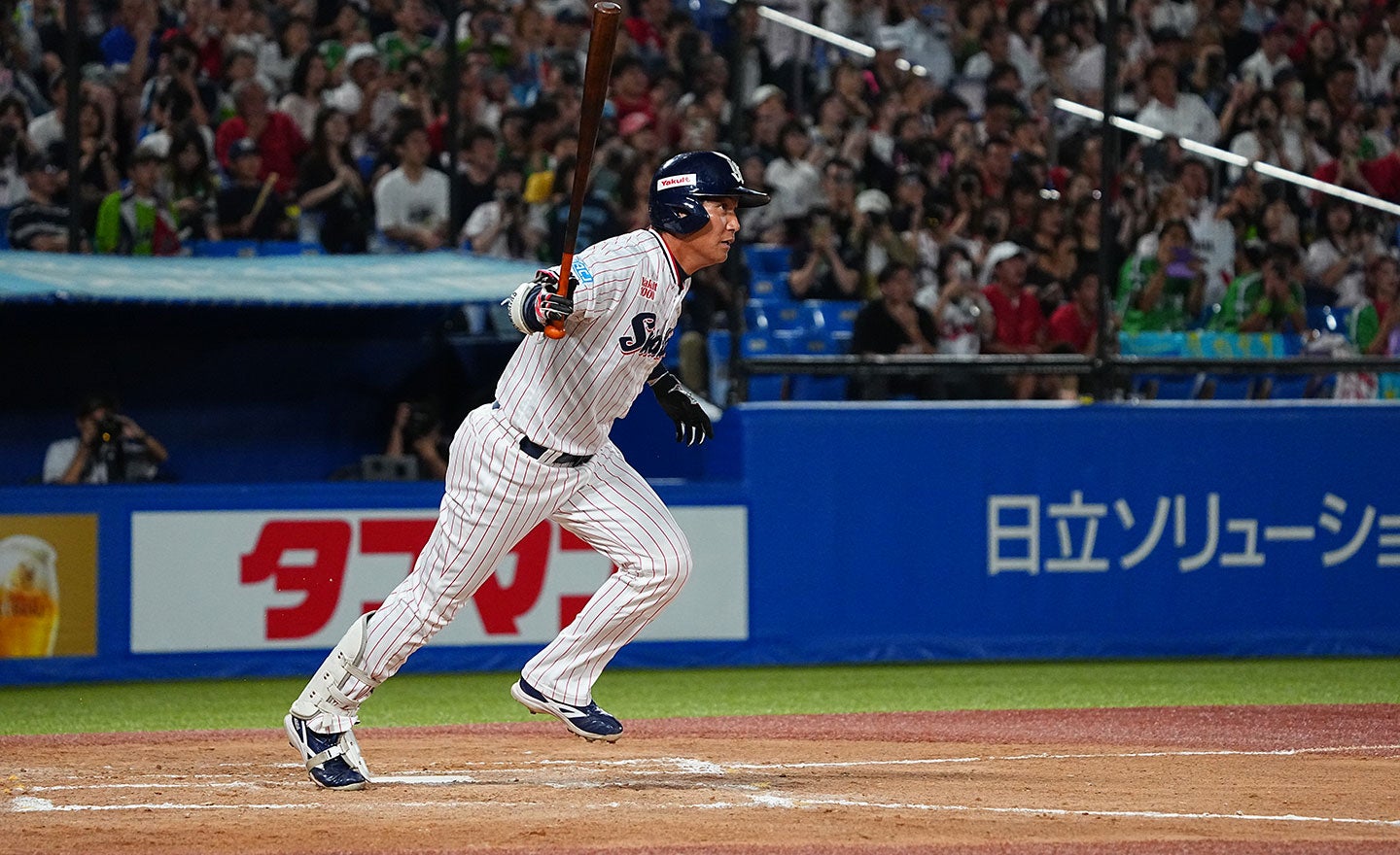 川端慎吾コーチの引退試合について | ニュース | 東京ヤクルトスワローズ
