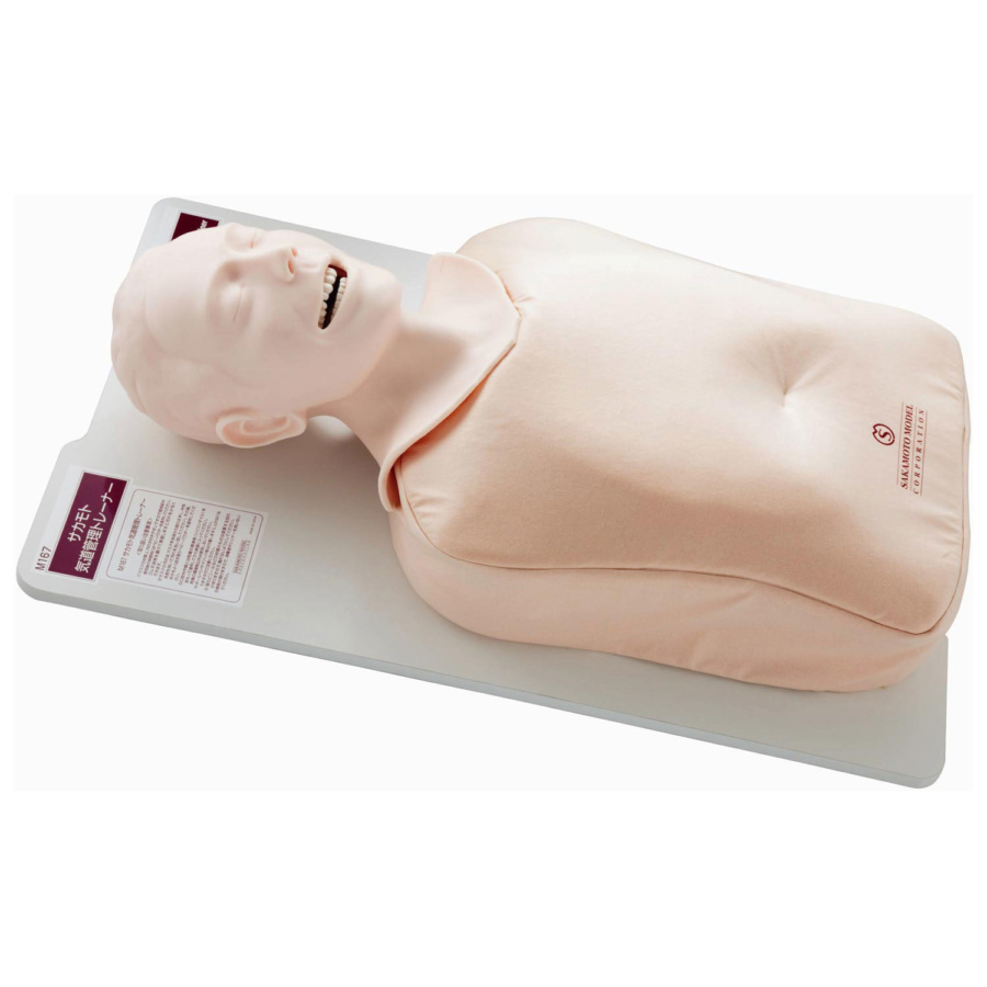 気管挿管トレーナー | 日本スリービー・サイエンティフィック