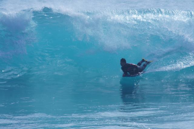 フリーダムフィン FREEDOMFIN | ボディボード専門店サンタートル