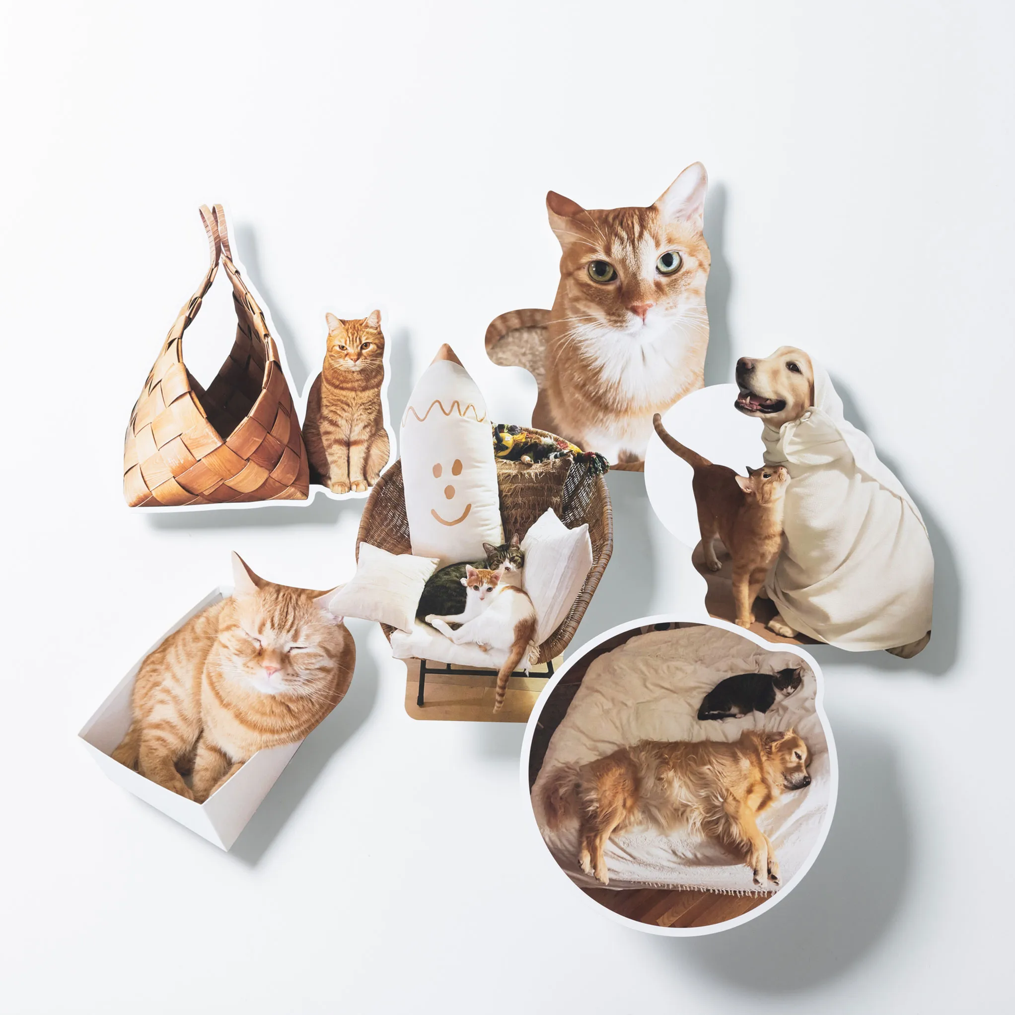 石田ゆり子さんが一緒に暮らすものたち オンラインのお店 - ほぼ日刊