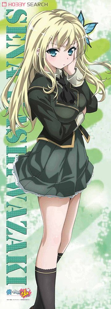 僕は友達が少ない 等身大タペストリー 柏崎星奈 (キャラクターグッズ