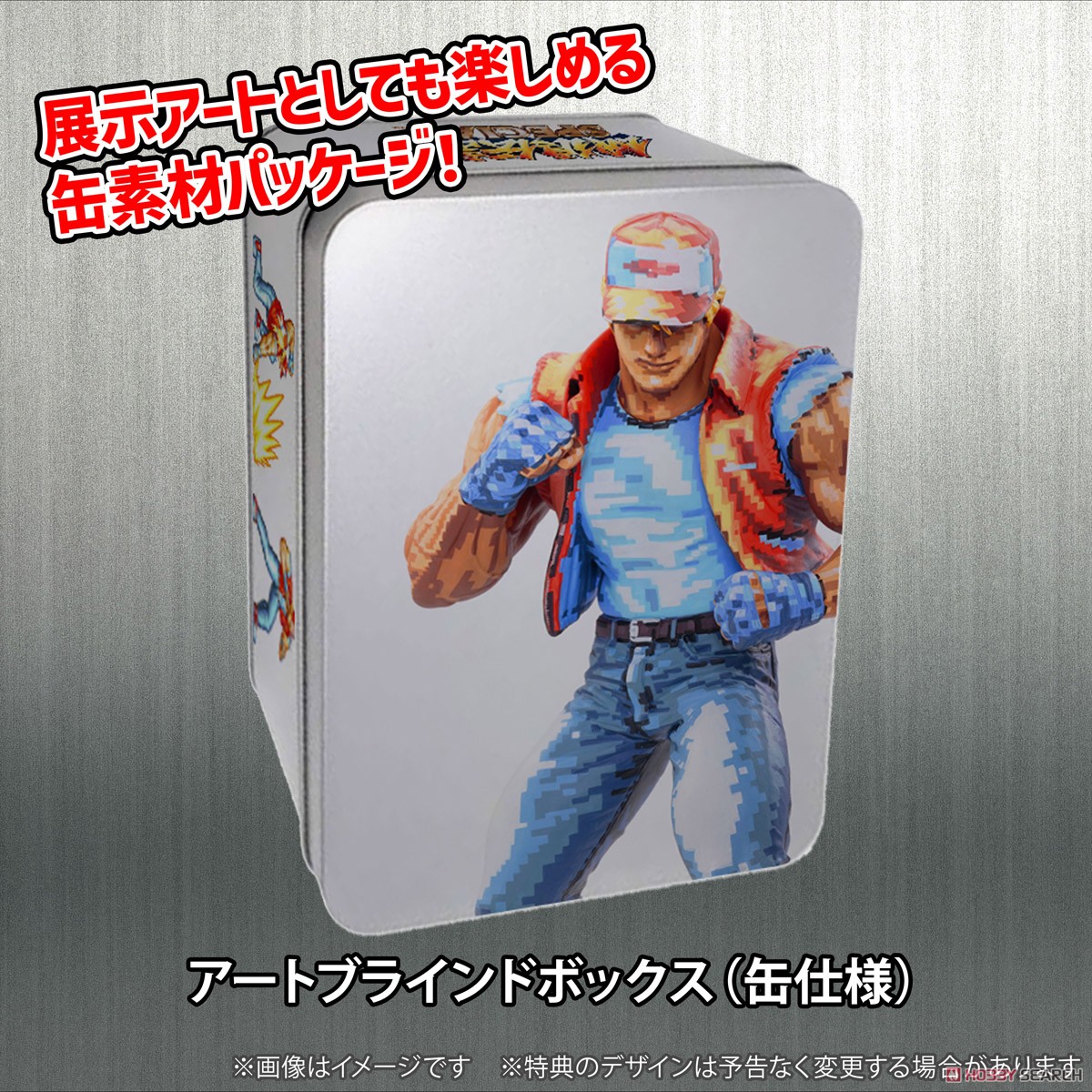 THE KING OF COLLECTORS`24 SPECIAL 「テリー・ボガード」(ドット絵