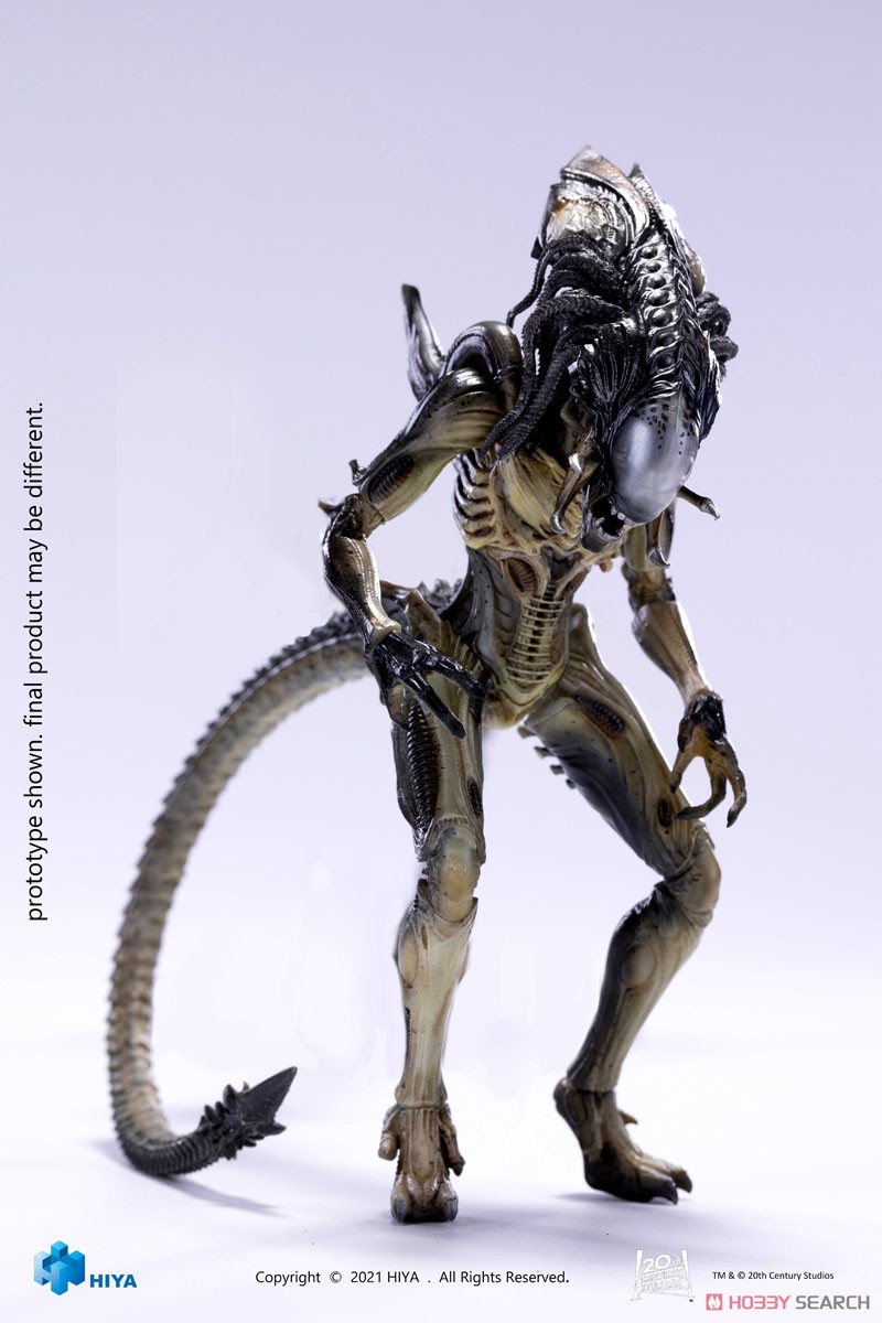 AVP2 1/18 アクションフィギュア プレデリアン (完成品) - ホビー