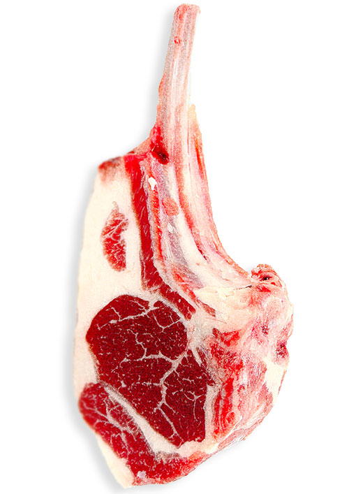 ラムチョップ祭り開催！！ジンギスカンWebは羊肉専門店～北海道「東洋