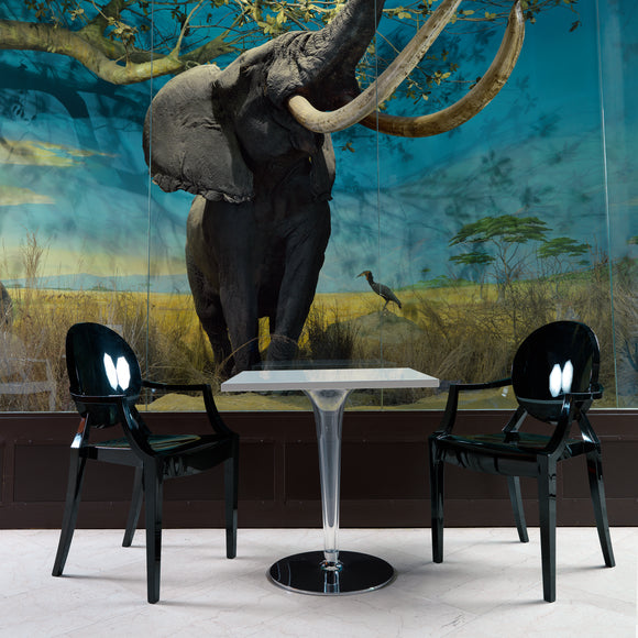 Kartell Louis Ghost Chair (Set of 2) - 2Modern