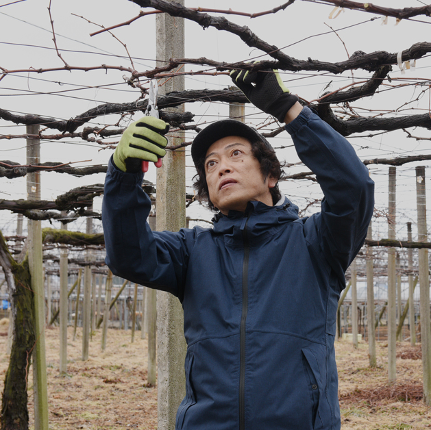 DELAWARE & SIEGERREBESPARKLING WINE 2022｜セブンシダーズワイナリー