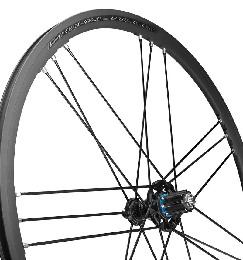 Campagnolo Shamal Mille Wheels : Campagnolo Pair