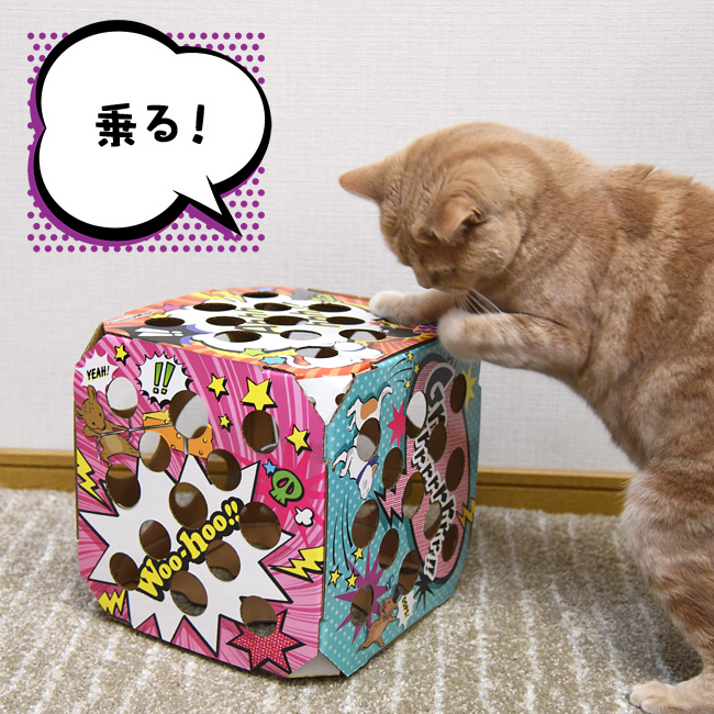 キャティーマン 猫ちゃんテンション爆アゲBOX (45280) 猫用おもちゃ