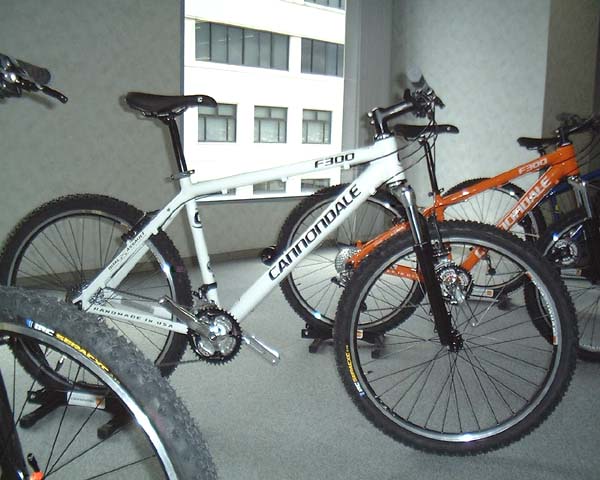 2006 Cannondale F 300（キャノンデール エフ300））