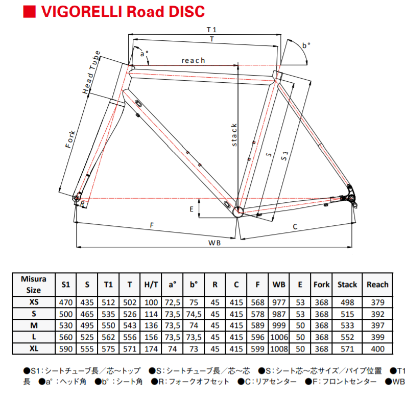 CINELLI(チネリ) VIGORELLI ROAD(ヴィゴレリロード) DISC フレーム