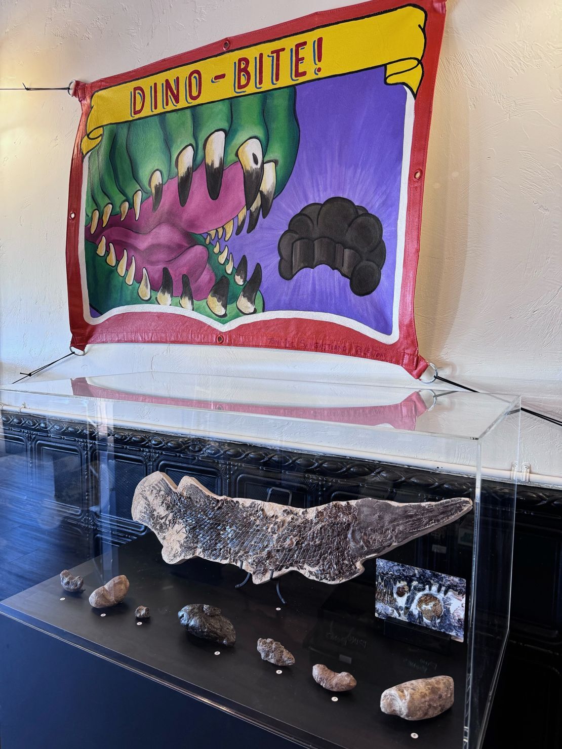 世界最大級の糞便化石を収蔵、「プージアム」開館 米アリゾナ州 - CNN