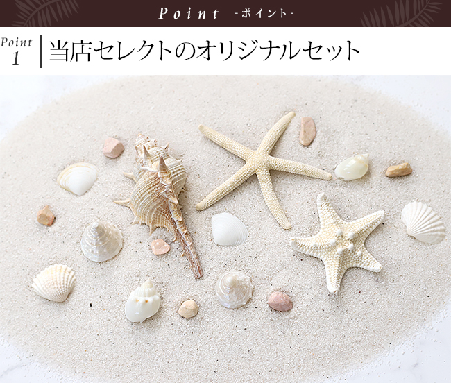 貝殻のインテリアの通販｜《公式》Cocobari