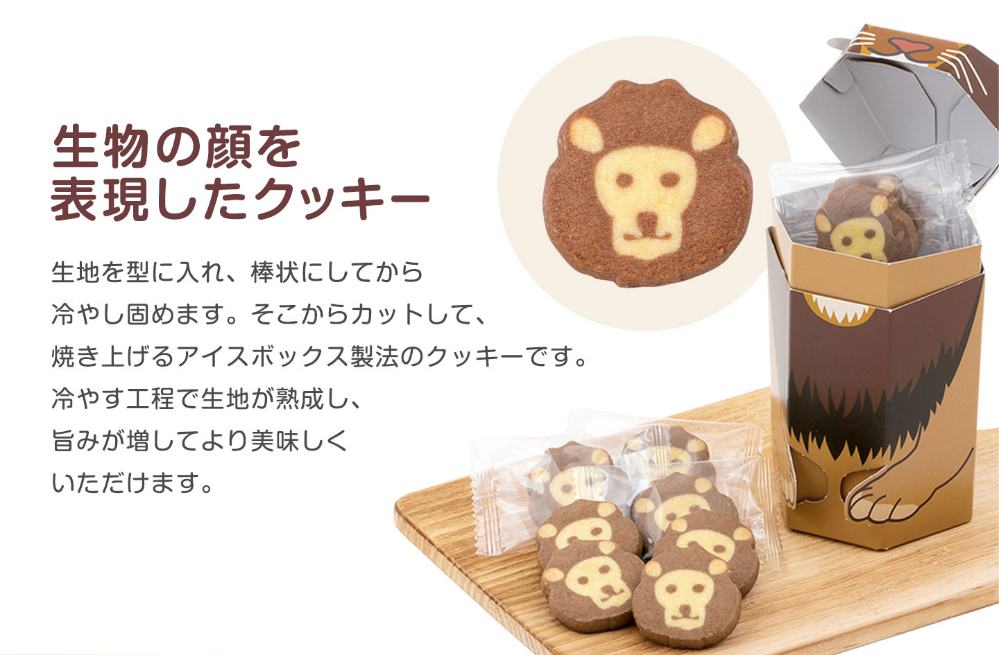 アイスボックスクッキー ライオン│動物 カロラータ オンライン