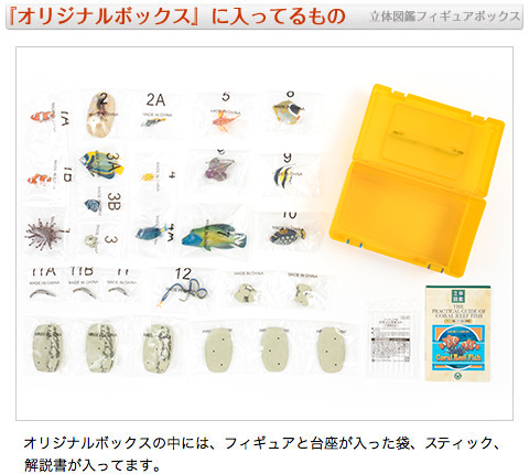 動物 生物 立体図鑑 コーラルリーフフィッシュボックス / カロラータ