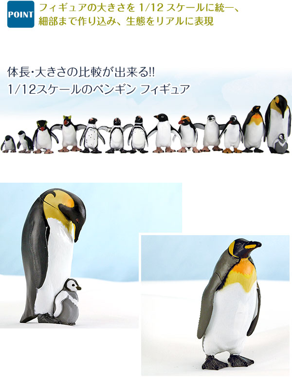 動物 生物 立体図鑑 ペンギンボックス / カロラータ オンラインショップ