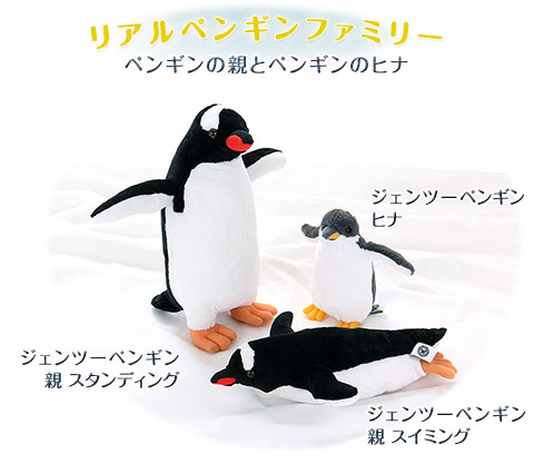 ジェンツーペンギン│動物 カロラータ オンラインショップ