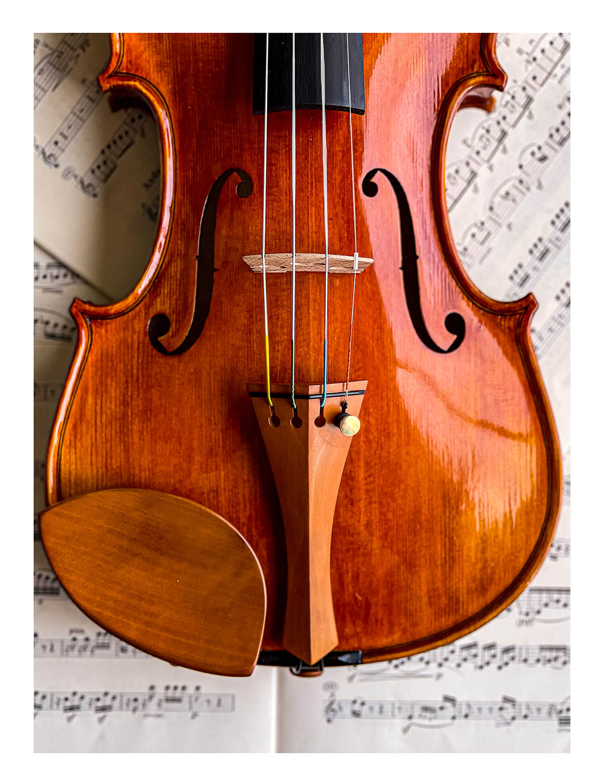 Kaufmann Chinrest Violin Boxwood, ZK-1591G – The Conrad Goetz