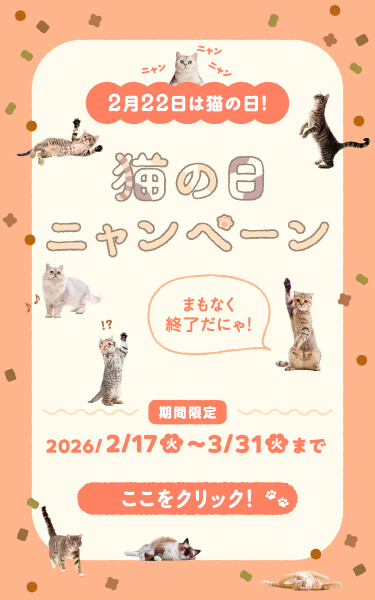 猫の日ニャンペーン | にゃんモデルシリーズ一覧 | 天然水ウォーター