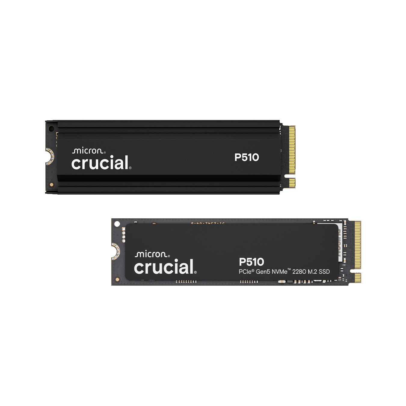 CT1000T500SSD8JP | CT1000T500SSD8JP | Crucial T500 M.2 NVMe接続