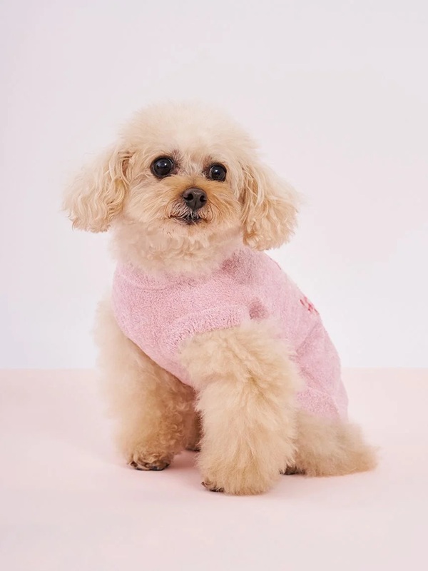 gelato pique（ジェラートピケ）【CAT&DOG】【販路限定商品】アイス