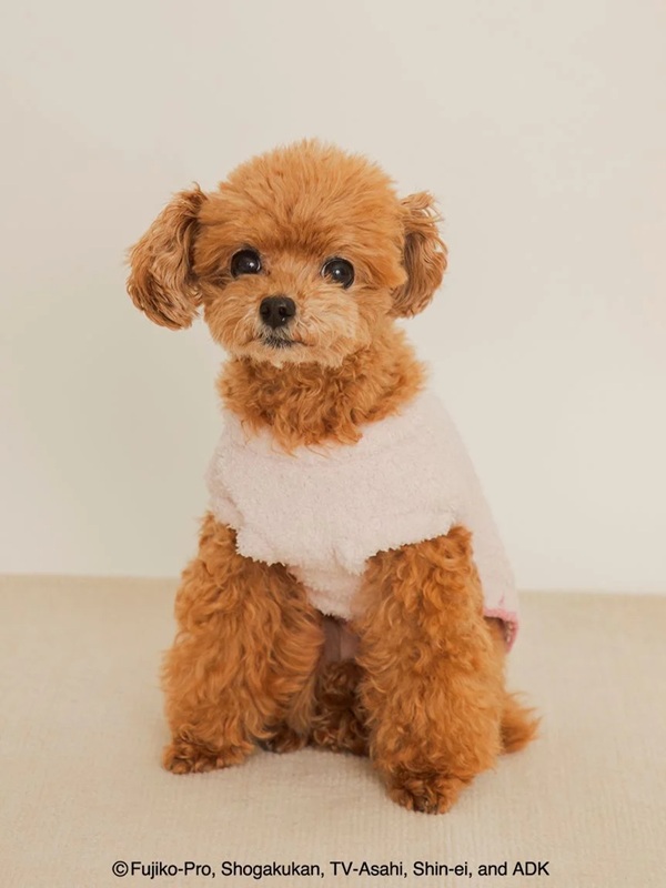 gelato pique（ジェラートピケ）【CAT&DOG】【販路限定商品