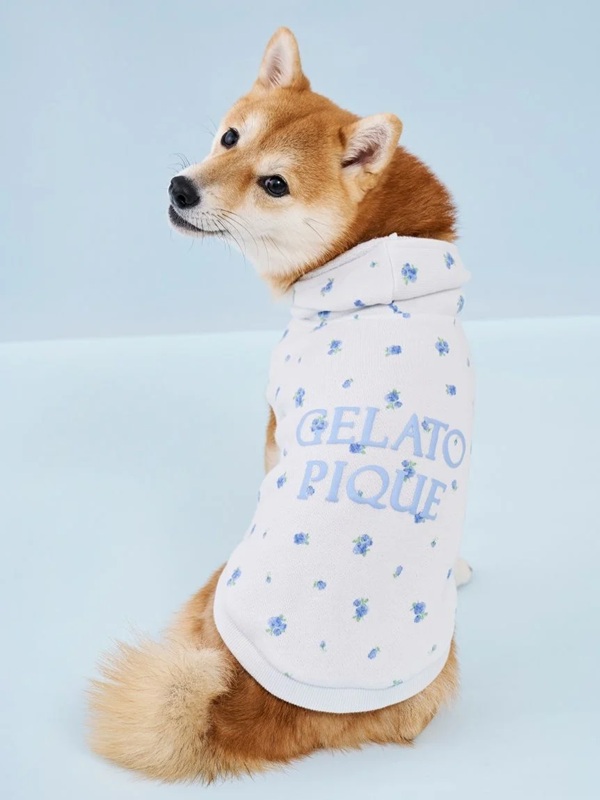 gelato pique（ジェラート ピケ） | 犬服・ドックウェアCalulu(カルル)