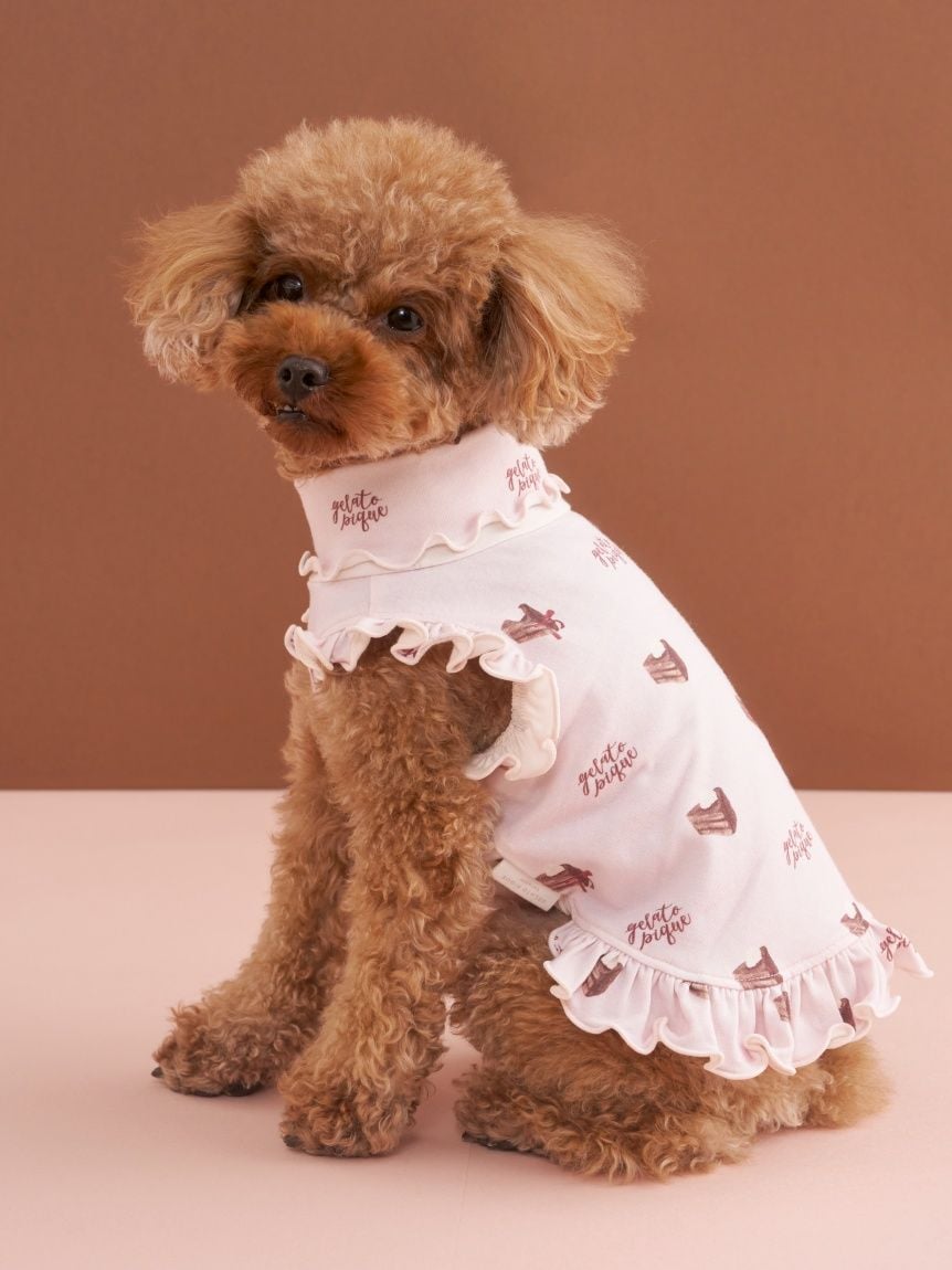 gelato pique（ジェラートピケ）【CAT&DOG】【販路限定商品】オータム