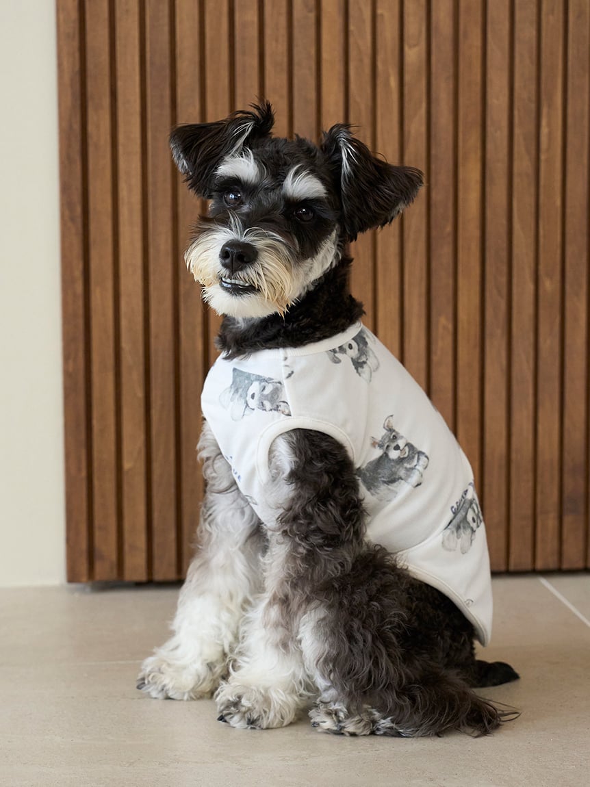 gelato pique（ジェラートピケ）【CAT&DOG】【販路限定商品