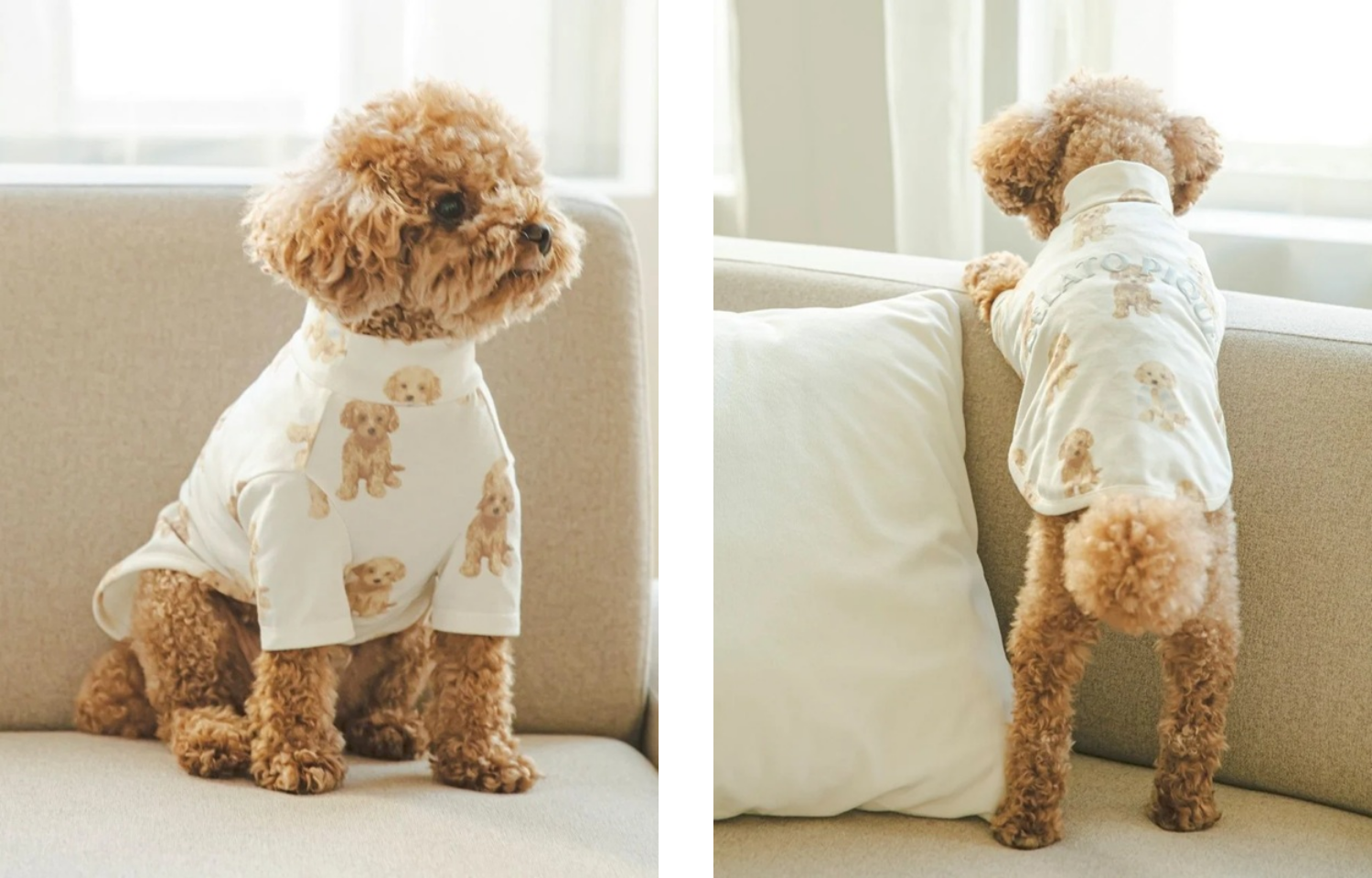 GELATO PIQUEトイプードルシリーズ