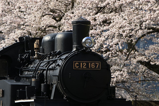 タムロン SP70-200mm/F2.8 Di VC USD G2 (Model A025) 使用レビュー