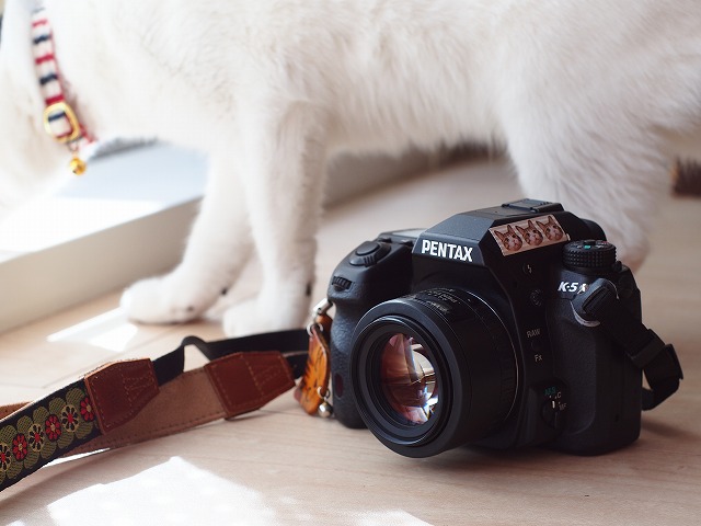 作例付き】smc PENTAX FA50mm f1.4 猫撮影レビュー