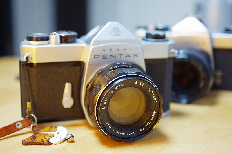 スーパータクマーだけでない！もう1つのペンタックス55mm【猫撮影