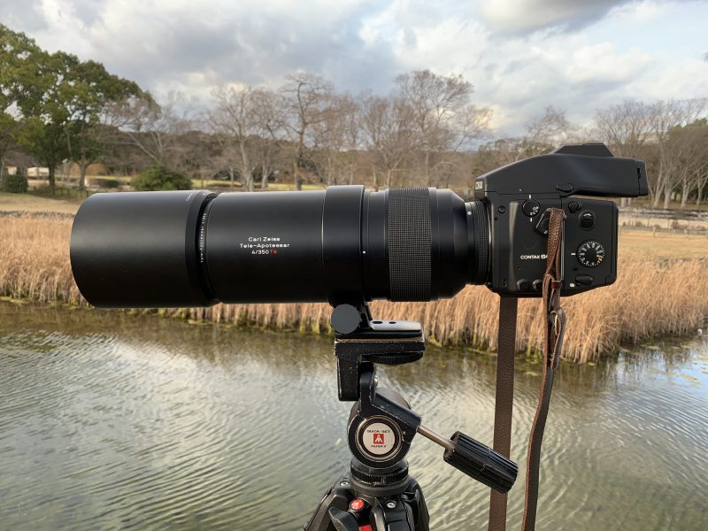 ニコンAF-S DX NIKKOR 55-300mm f/4.5-5.6G ED VRを試写しました