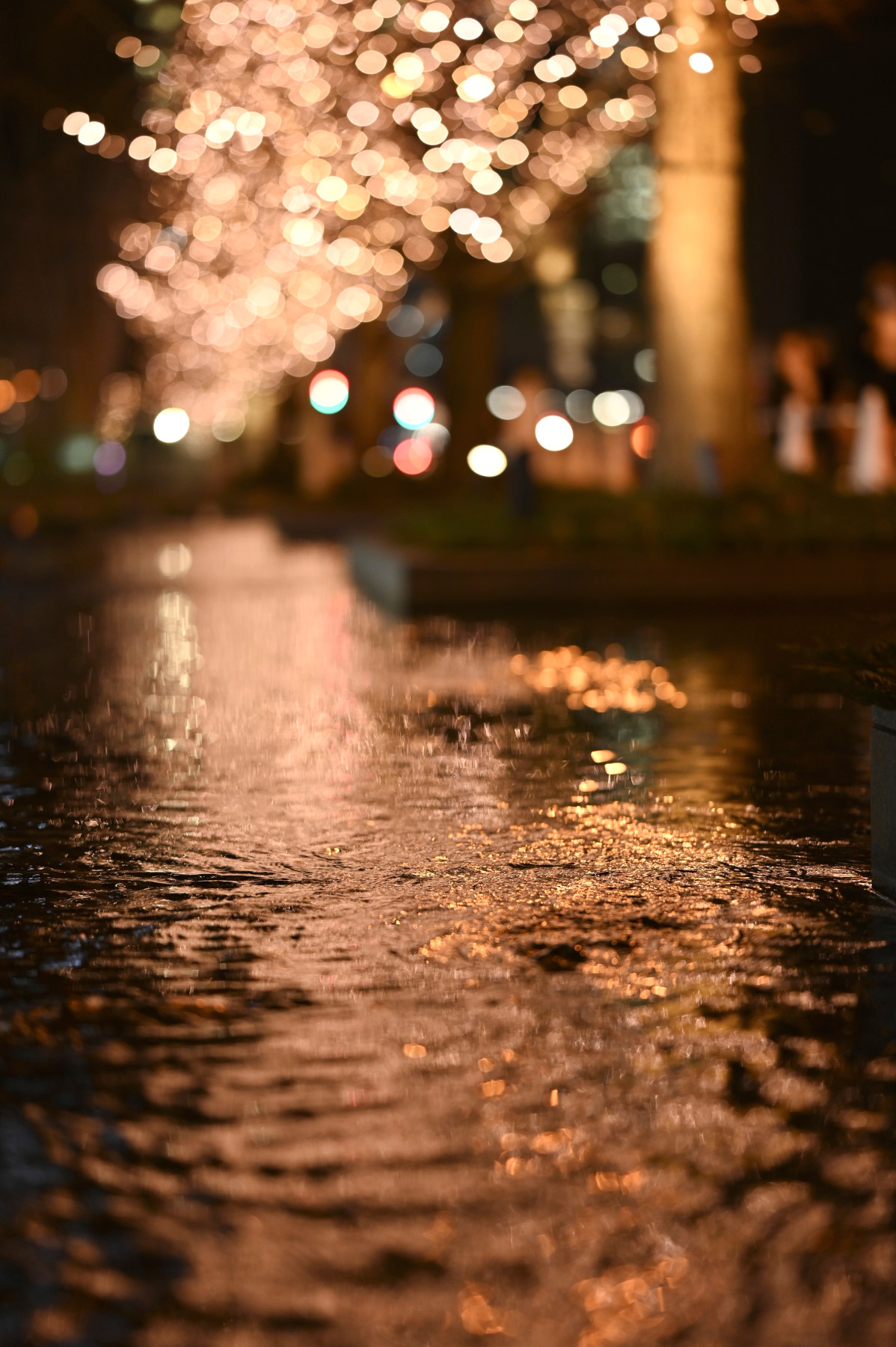 コラム】ニコン Z 85/1.8 Sで撮る イルミネーションを撮影と演出するコツ