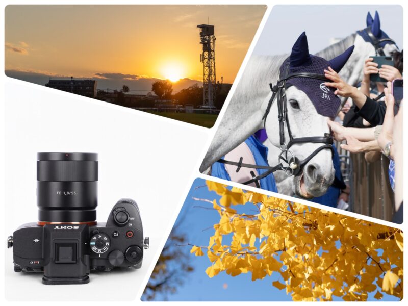 日常生活に”丁度良い”コンデジ】SONY RX100III 使用レビュー