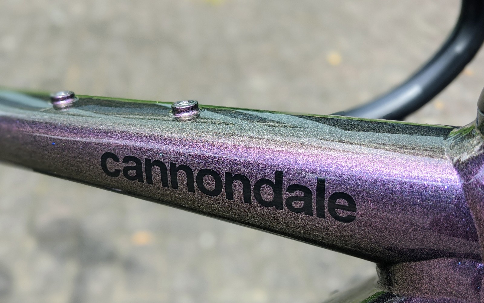 9月, 2020 | キャノンデール横浜