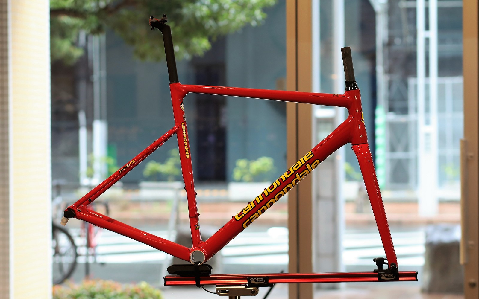 3月, 2022 | キャノンデール横浜